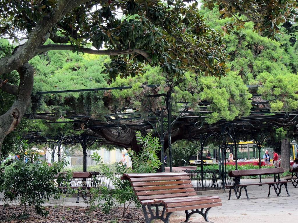Myplace - Lisbon Principe Real Studio מראה חיצוני תמונה